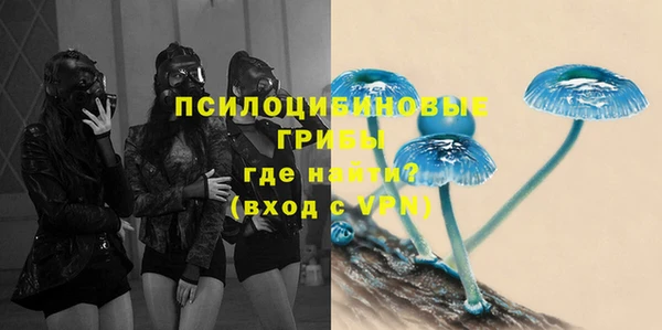 стафф Алзамай