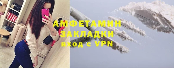 стафф Алзамай