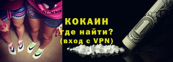 стафф Алзамай