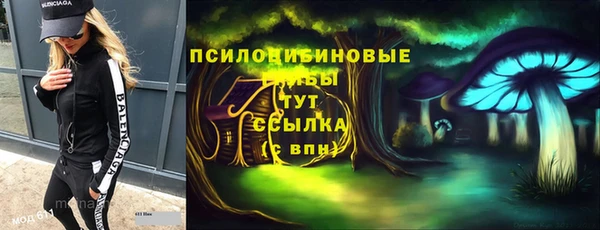 ALPHA PVP Алексеевка